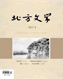 北方文学·下旬2017年6期
