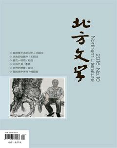 北方文学·中旬2016年10期
