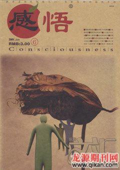 感悟2009年6期