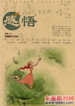 感悟2009年7期