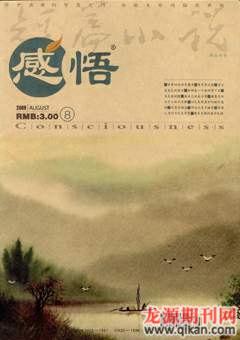 感悟2009年8期