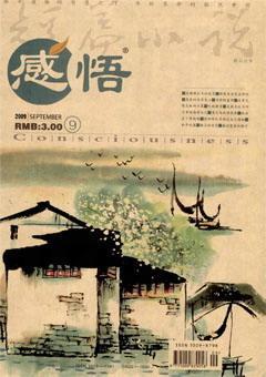 感悟2009年9期