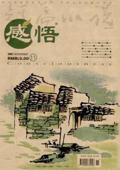感悟2009年11期
