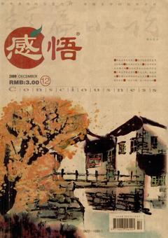 感悟2009年12期