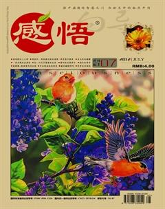 感悟2012年7期