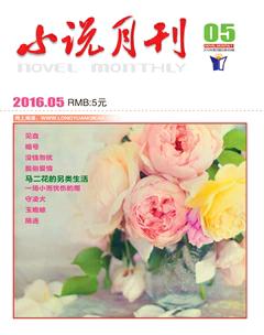 小说月刊2016年5期