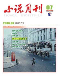 小说月刊2016年7期