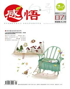 感悟2016年7期