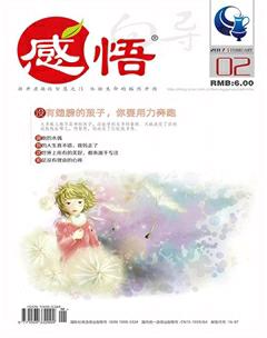 感悟2017年2期