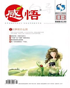 感悟2017年3期