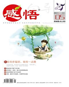感悟2017年5期