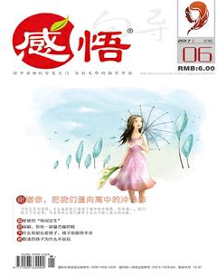 感悟2017年6期