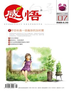 感悟2017年7期