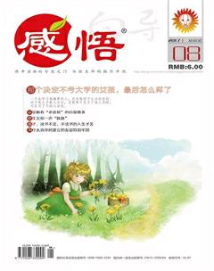感悟2017年8期