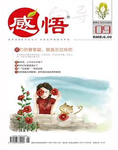 感悟2017年9期