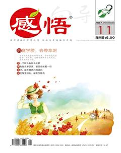 感悟2017年11期