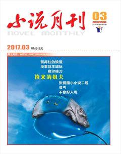 小说月刊2017年3期
