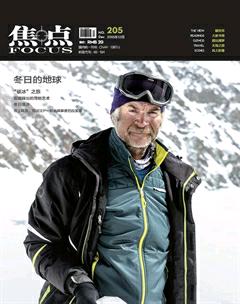 焦点2015年12期