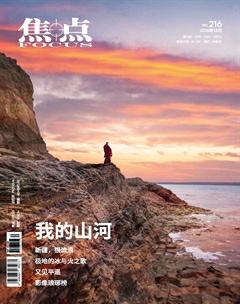 焦点2016年12期