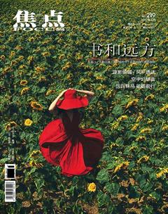 焦点2017年4期