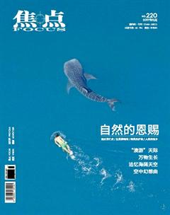 焦点2017年5期