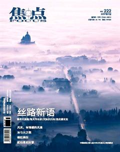 焦点2017年7期