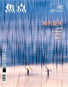 焦点2017年8期
