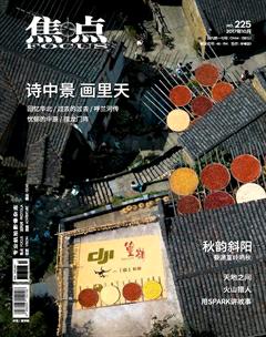 焦点2017年10期