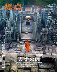 焦点2017年12期
