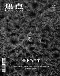 焦点2018年3期