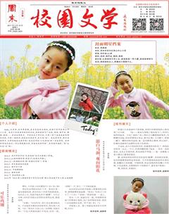 周末·校园文学2017年13期