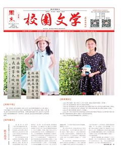 周末·校园文学2017年14期