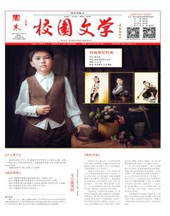 周末·校园文学2017年15期