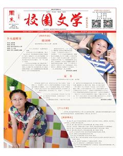 周末·校园文学2017年20期