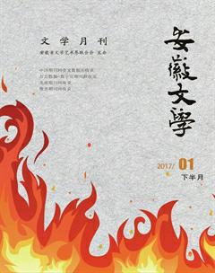 安徽文学·下半月2017年1期