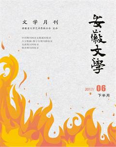 安徽文学·下半月2017年6期