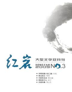 红岩2009年3期
