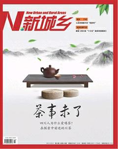 新城乡2017年3期