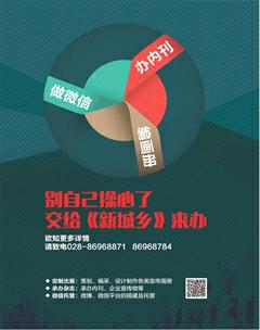 新城乡2017年4期