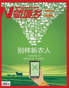 新城乡2018年6期