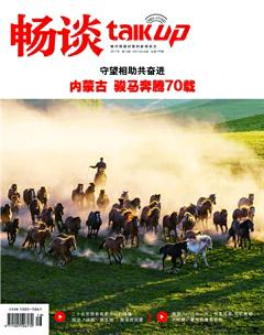 畅谈2017年16期