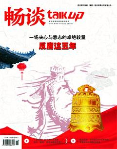 畅谈2017年18期