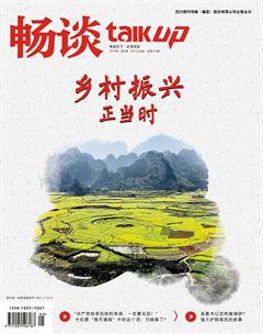 畅谈2018年5期