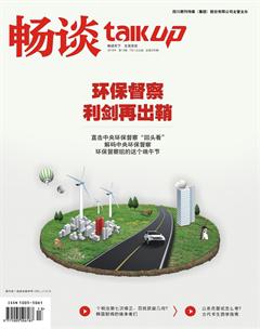 畅谈2018年13期