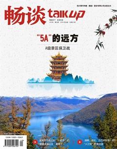 畅谈2019年20期