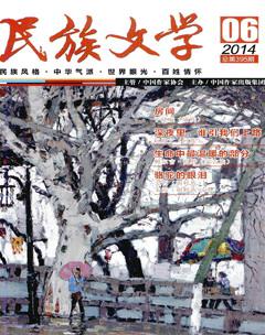 民族文学2014年6期