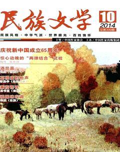 民族文学2014年10期