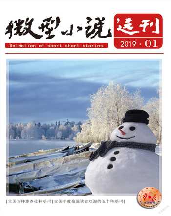 微型小说选刊2019年1期