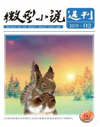 微型小说选刊2019年2期
