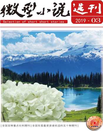 微型小说选刊2019年3期